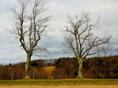 x100s 2015-04-26 441