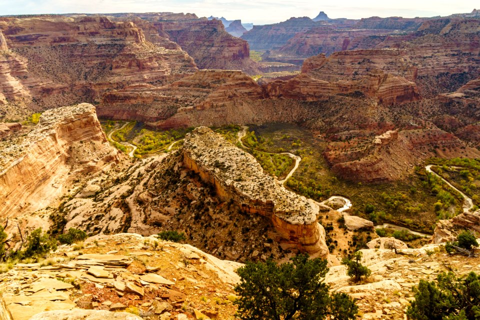 The Wedge Overlook