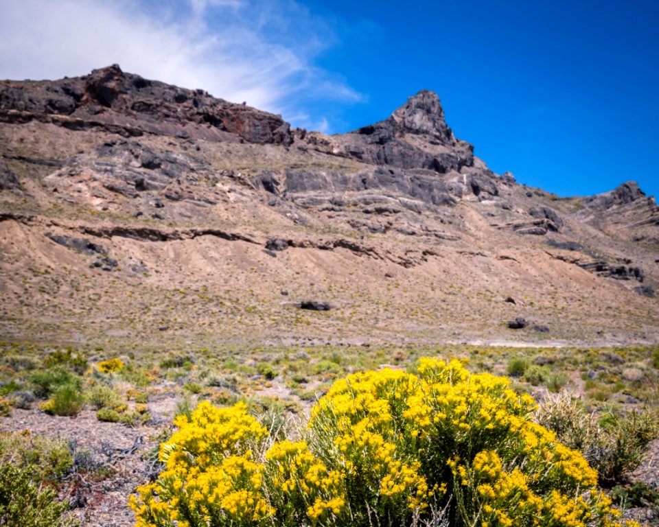 Silver Island Mountains