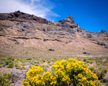 Silver Island Mountains
