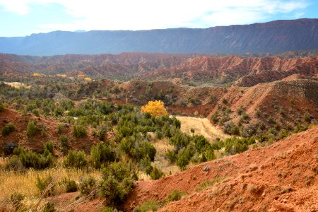 Onion Creek Trail - 10-30-17- 17
