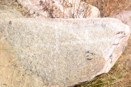 BLM Utah Cadastral Survey Team conducts resurvey of an 1872 General Land Office Survey in the West Desert