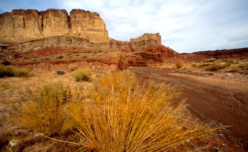 Red Canyon Wilderness