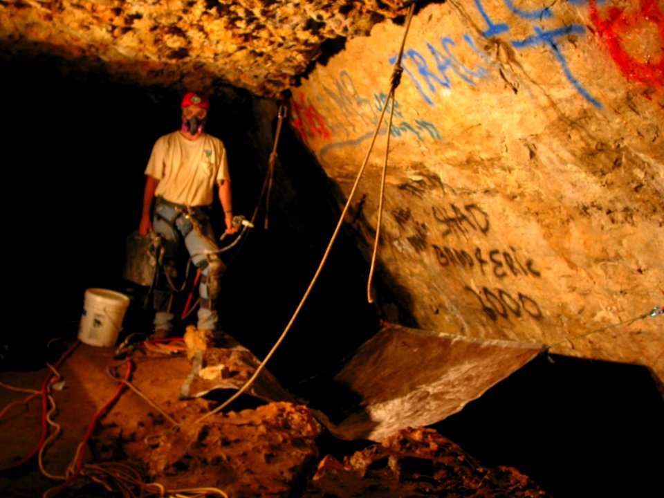 Bloomington Cave Restoration