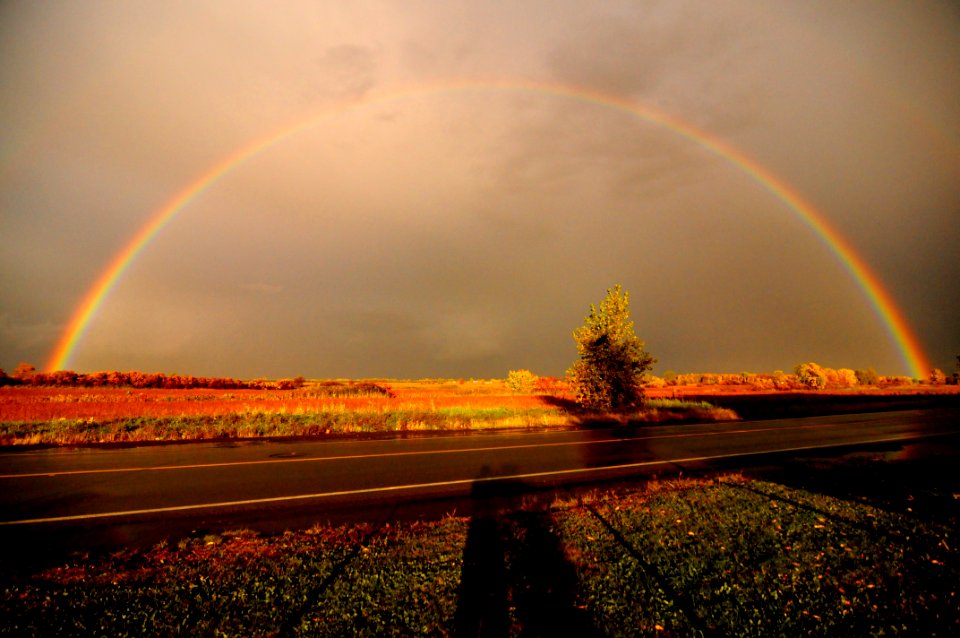 Rainbow