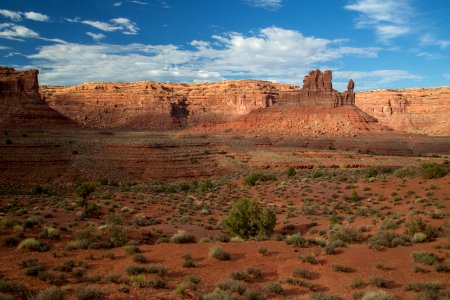 Road Canyon WSA