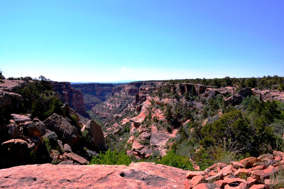 Girl Scouts in Cedar Mesa
