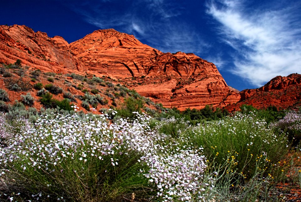 Cottonwood Canyon Wilderness2