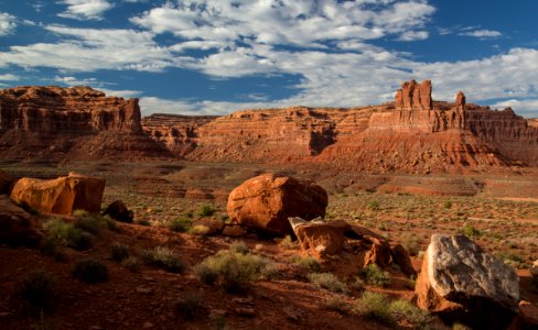 Road Canyon WSA