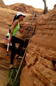 Day 3: Climb a ladder