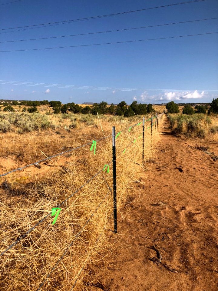Docs Beach damage remedied by Eagles Scouts. Rancher. BLM. 2019 (37)
