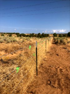 Docs Beach damage remedied by Eagles Scouts. Rancher. BLM. 2019 (37)
