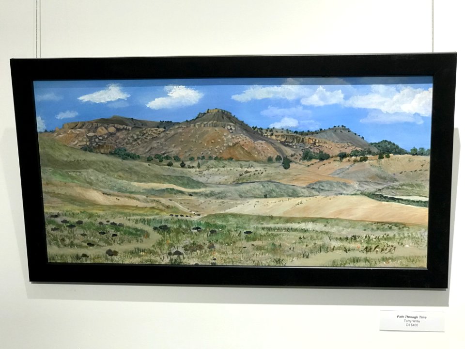 Terry Willis 2019 Cleveland Lloyd Dinosaur Quarry AIR BLM photo by Jonathan Moor  (13)