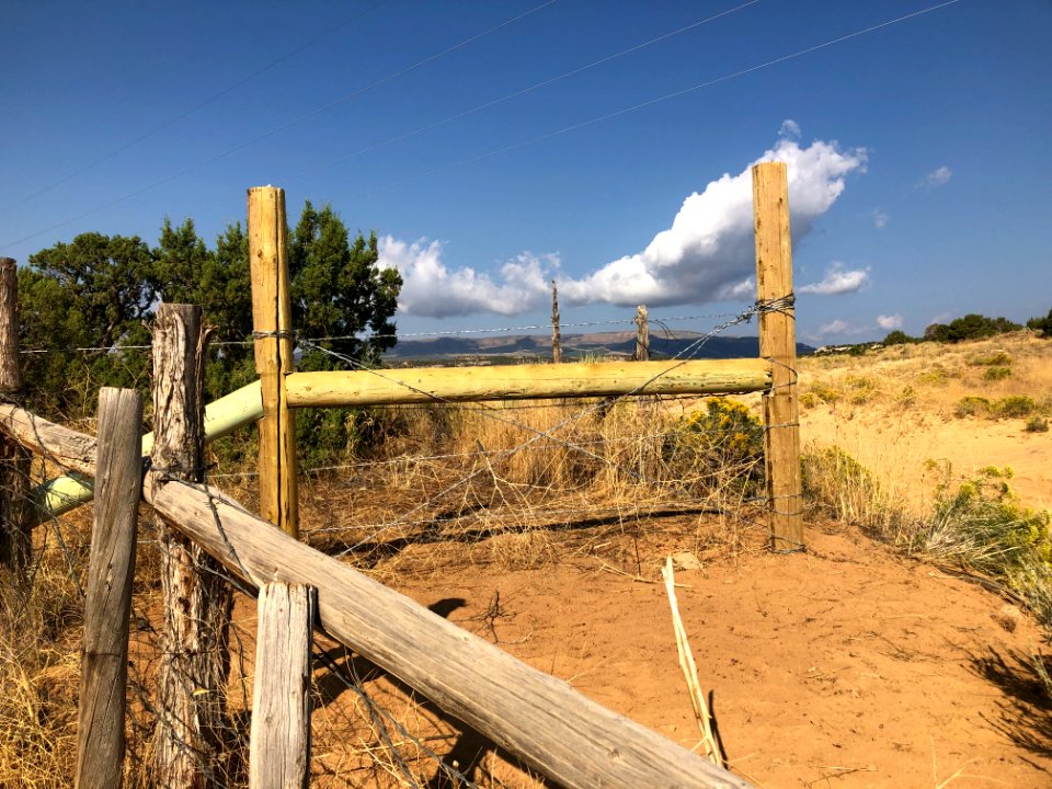 Docs Beach damage remedied by Eagles Scouts. Rancher. BLM. 2019 (41)