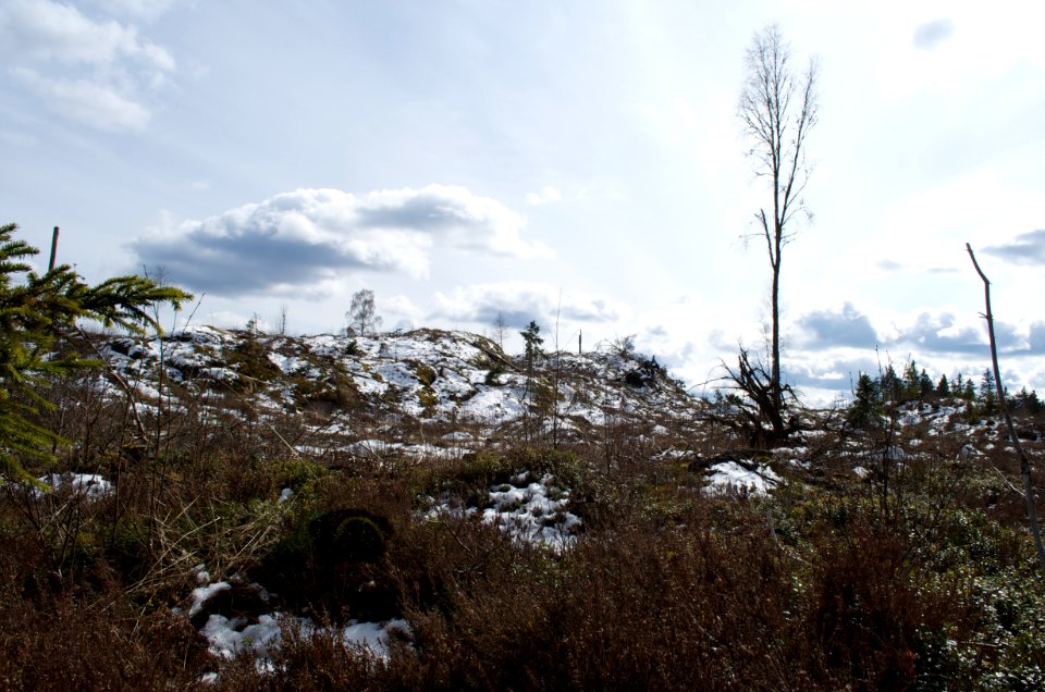 Natur