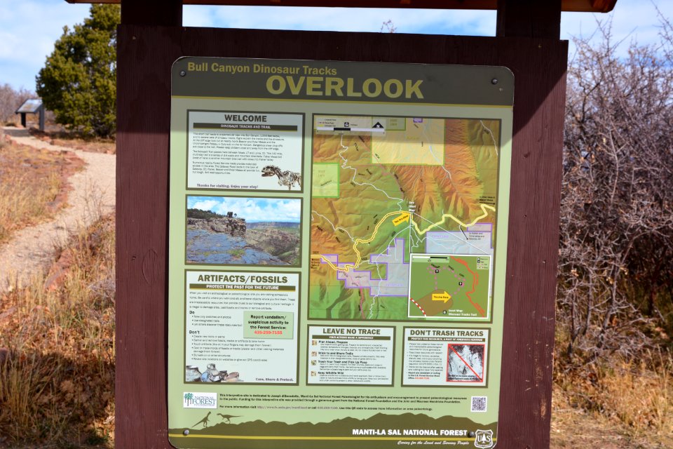 Onion Creek Trail - 10-30-17- 29