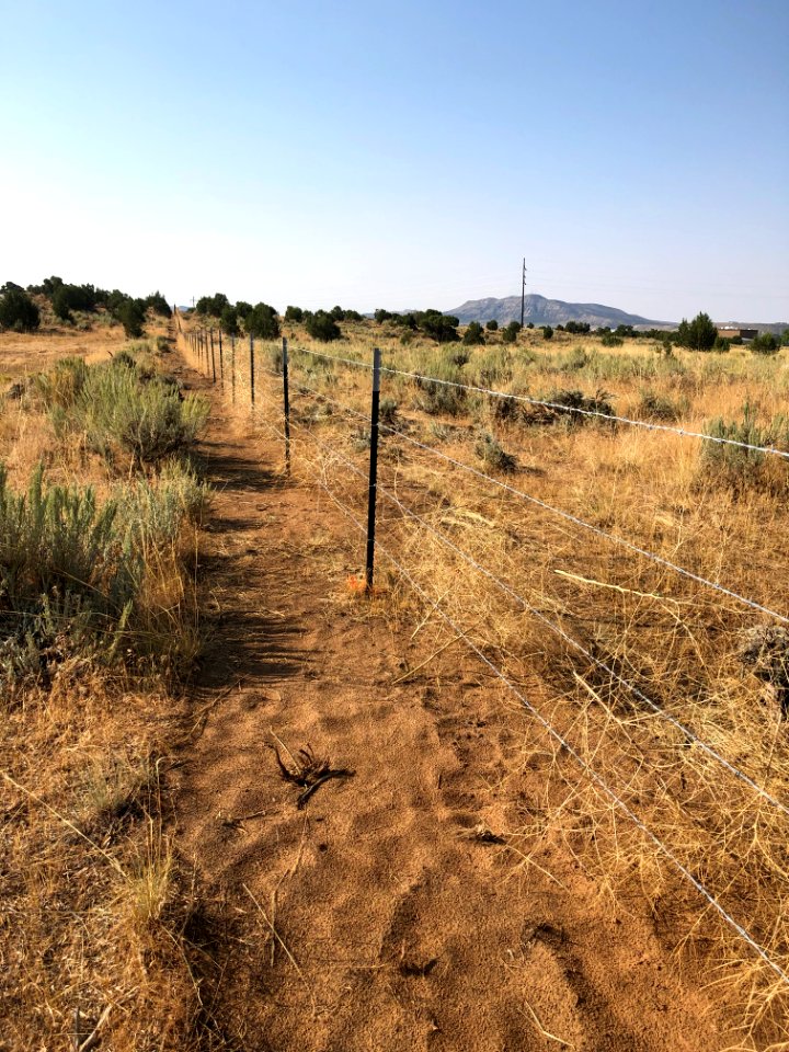Docs Beach damage remedied by Eagles Scouts. Rancher. BLM. 2019 (36)