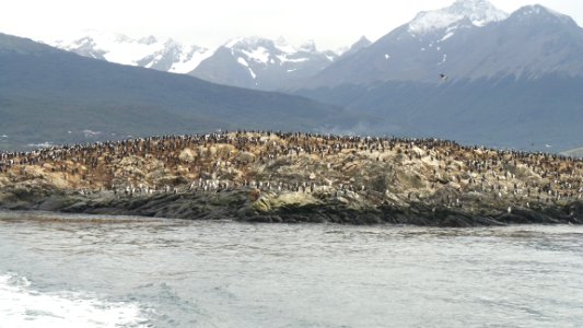 Ushuaia, March 2016 photo