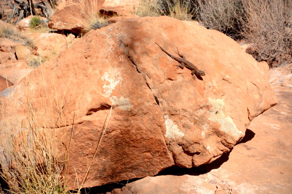 Kens Lake Falls Loop Suth 03-14-17 23