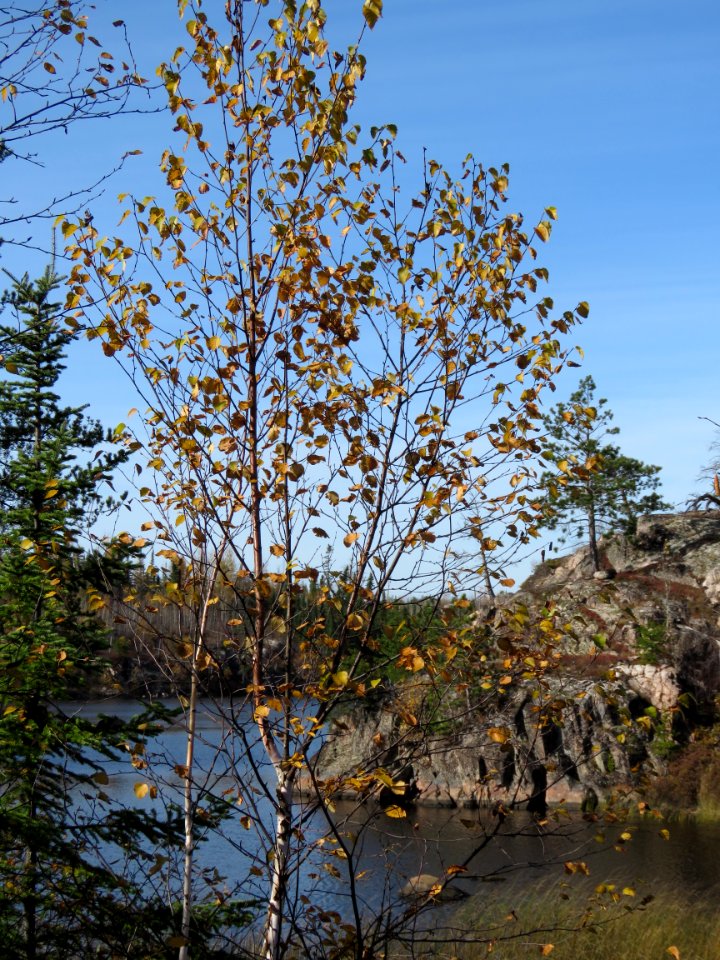 171017-FS-Superior-SAR-chikwaukwater