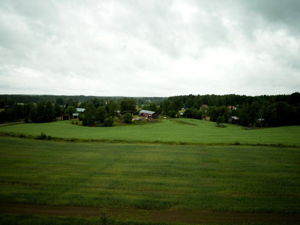 View from Tummamäki