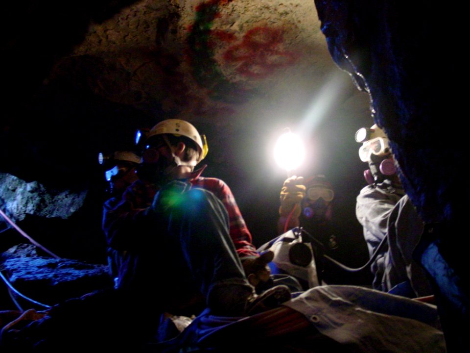 Bloomington Cave Restoration