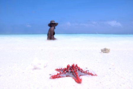 kwenda zanzibar tanzania carmen fiano