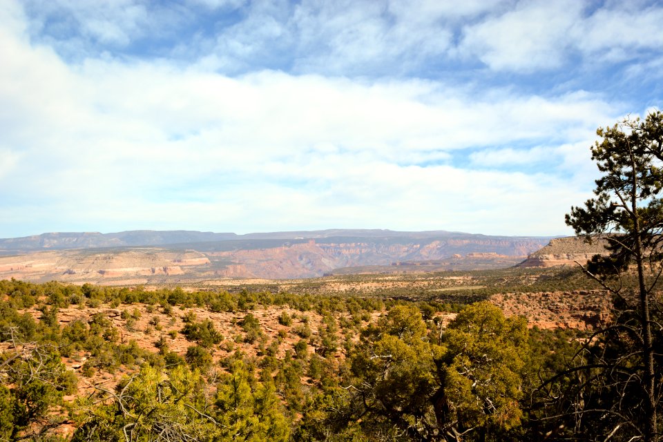 Onion Creek Trail - 10-30-17- 22