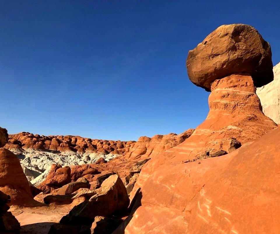 Toadstools near Kanab