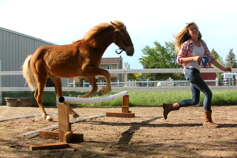 Youth and Mustangs program