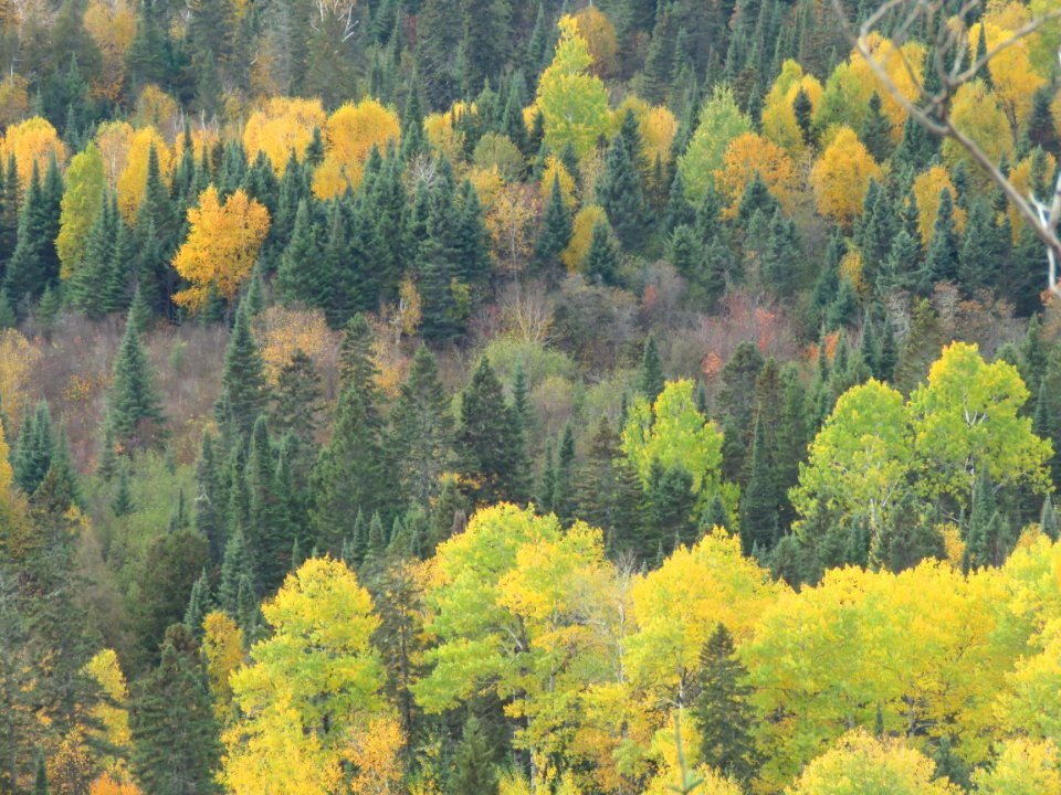 20200929-FS-Superior-SAR-041