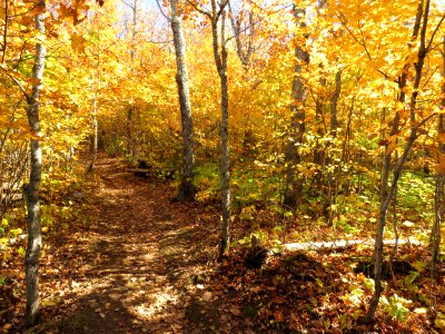 171010-FS-Superior-SAR-obergmttrail