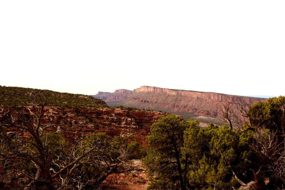 Onion Creek Trail Suth 03-14-17 25