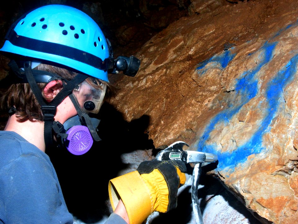 Bloomington Cave Restoration