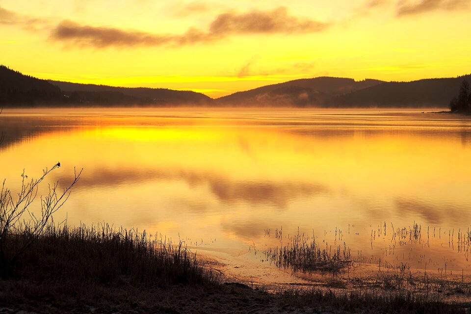 Reflection orange glassy