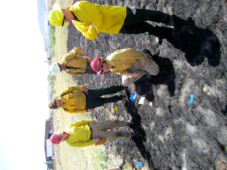 FI-210 Wildland Fire Origin & Cause Determination