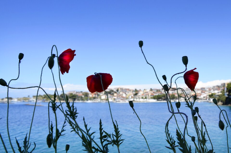 The aegean sea holiday summer