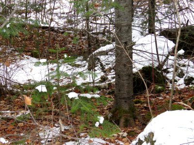 20201020-FS-Superior-SAR-007