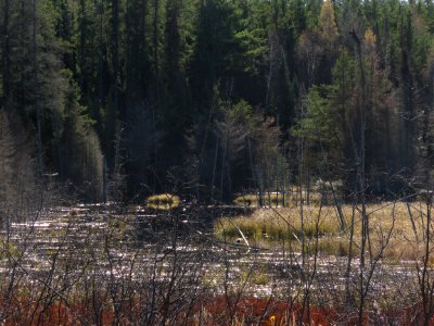 171025-FS-Superior-SAR-darkwater
