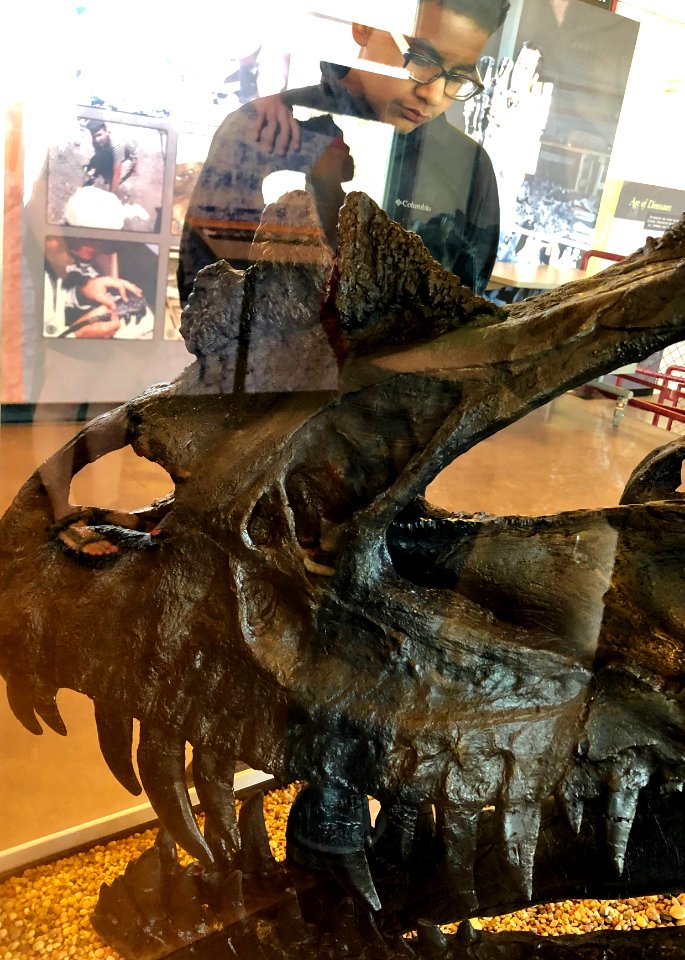 The paleocampers learned about Utah's state fossil, the Allosaurus, at Cleveland-Lloyd Dinosaur Quarry in Jurassic National Monument. Photo by BLM-UT