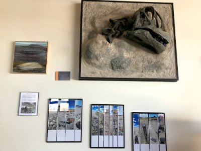 Fossils on display in Jurassic National Monument photo