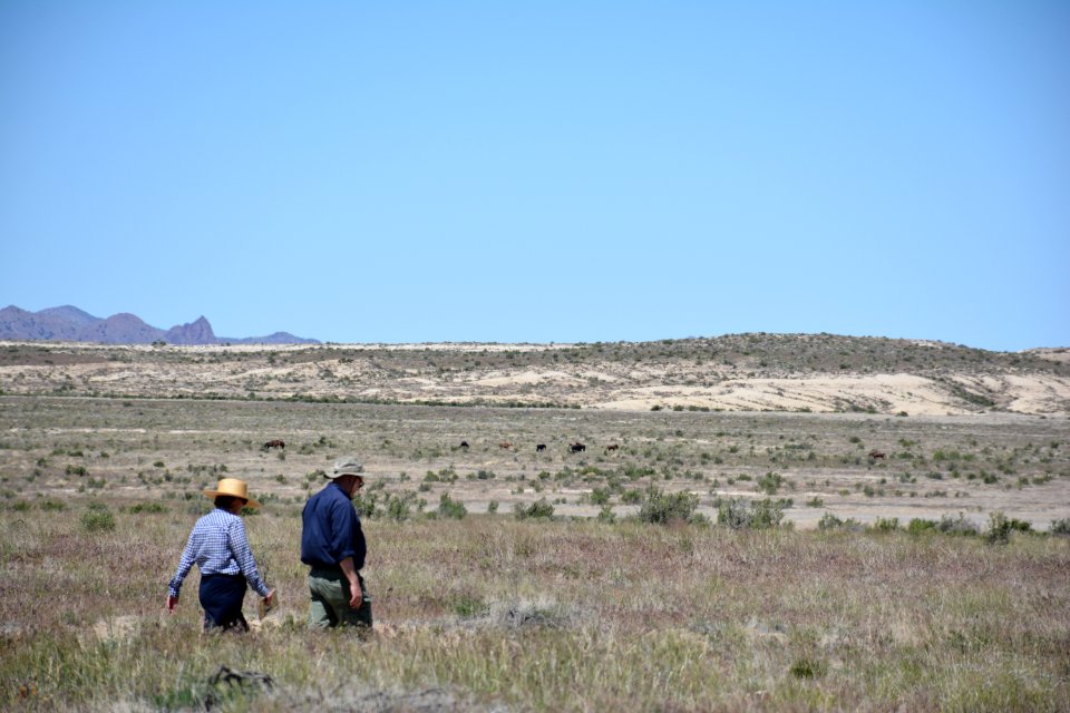 Pony Express Auto Tour June 2018 (75)