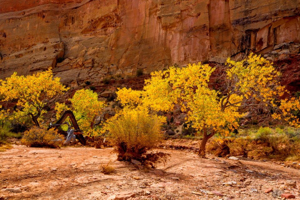 San Rafael Swell in Fall photo