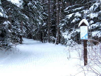 Sugarbush cross country ski trail