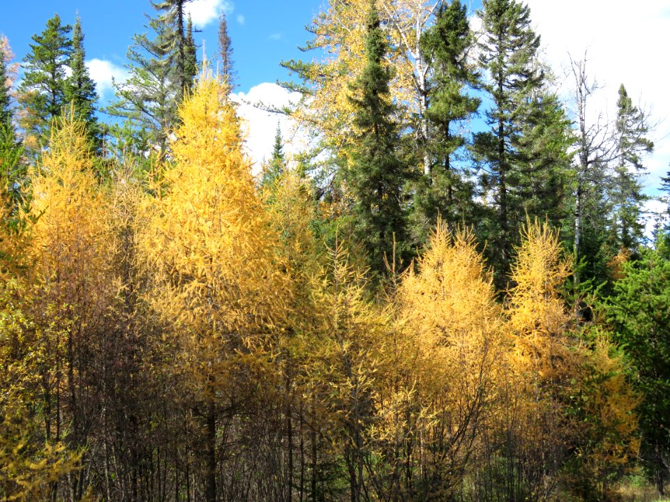 20201013-FS-Superior-SAR-014