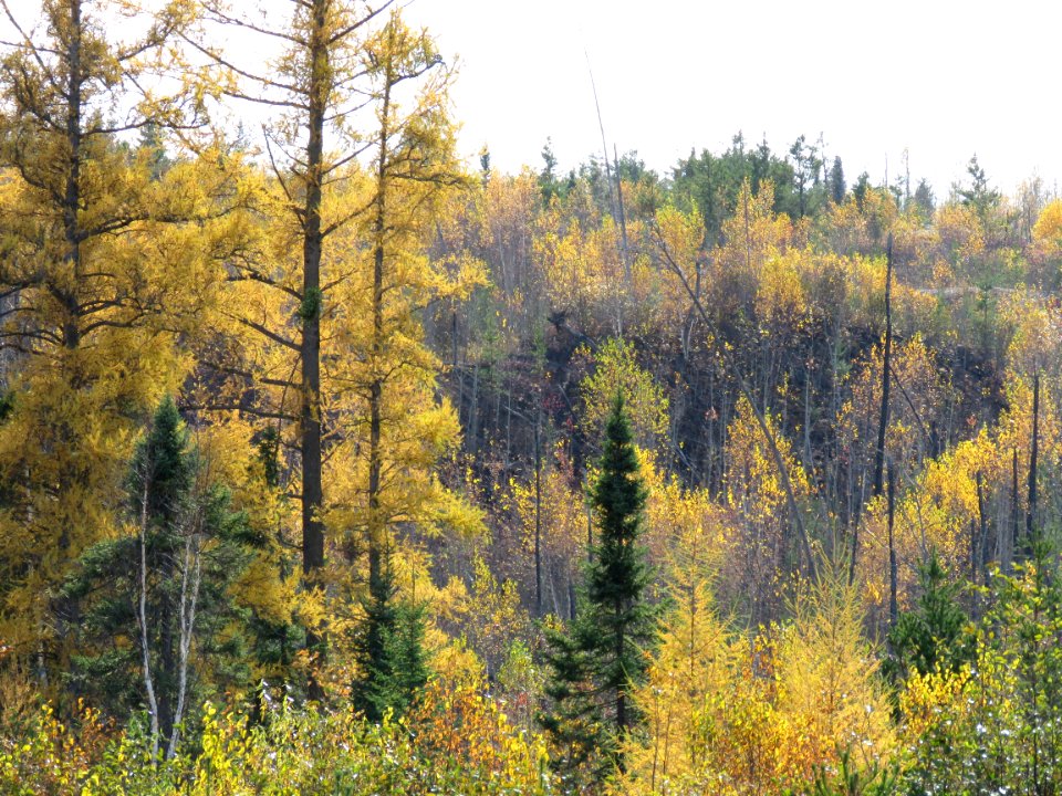 171017-FS-Superior-SAR-fallhamlakefirearea