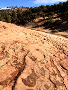 Moccasin Mtn Tracksite