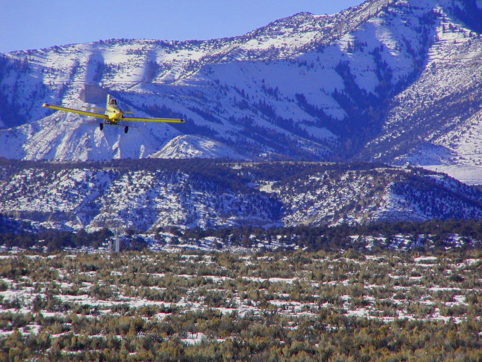 Aerial Seeding Efforts
