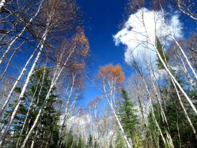 20201013-FS-Superior-SAR-008