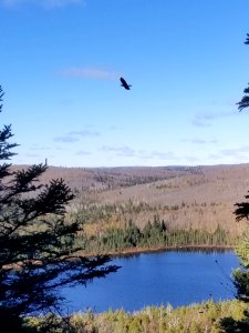 20181017-FS-Superior-SAR-022